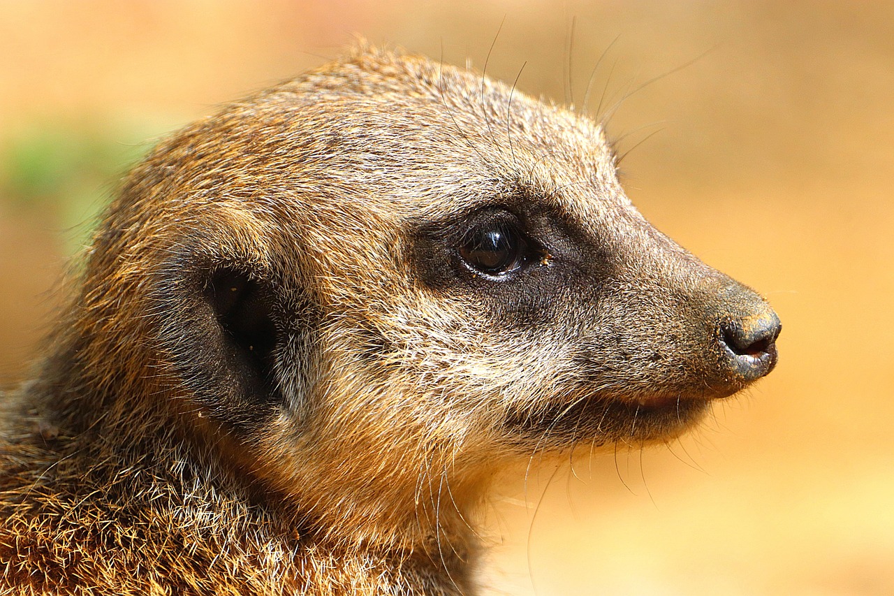Duisburger Zoo Duisburg